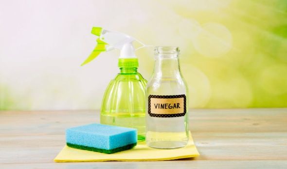 16 Ways to Clean with Vinegar!